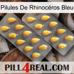 Pilules De Rhinocéros Bleu cialis2